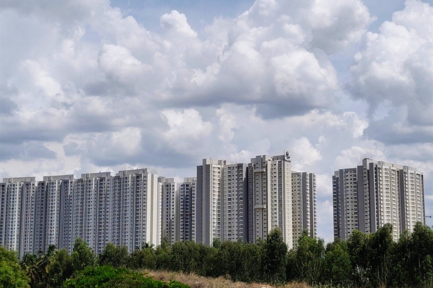 UB City rising above the tree canopy in central Bengaluru