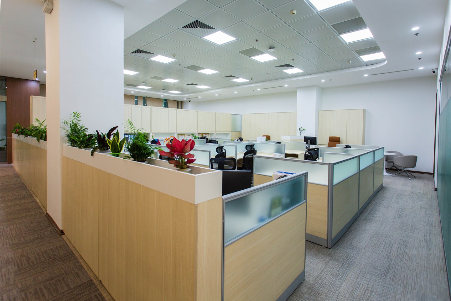 Office & Workplace Advisory